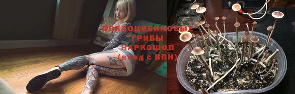 гашик Балахна