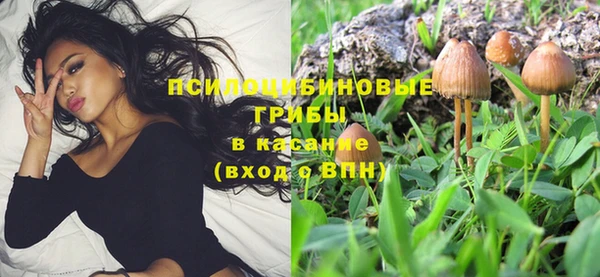 гашик Балахна